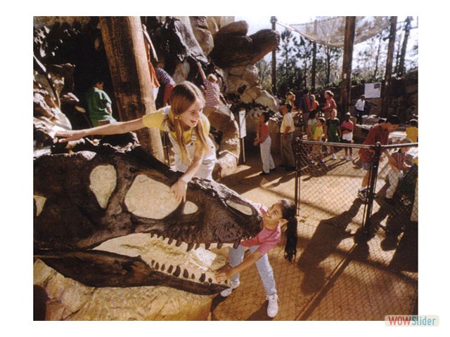 Dinoland Boneyard Playground - Built